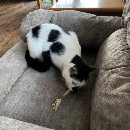 Dental Bite™ - Juguete Dental Natural para Gatos.