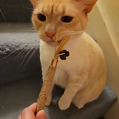 Dental Bite™ - Juguete Dental Natural para Gatos.