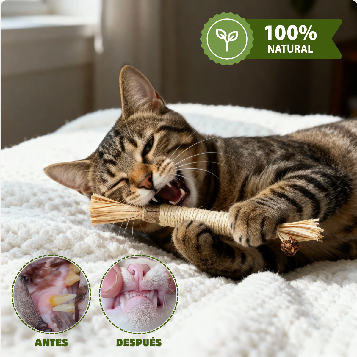Dental Bite™ - Juguete Dental Natural para Gatos.